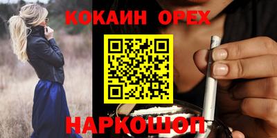 шишки Кандалакша