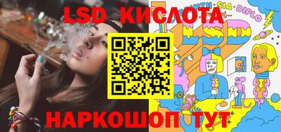 шишки Кандалакша