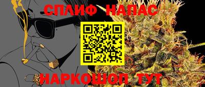 шишки Кандалакша