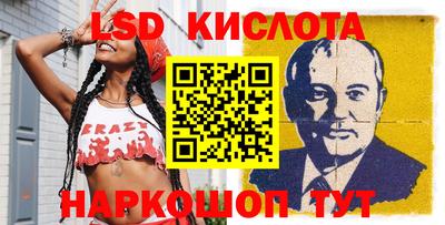 шишки Кандалакша