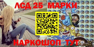 шишки Кандалакша