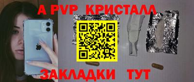 шишки Кандалакша