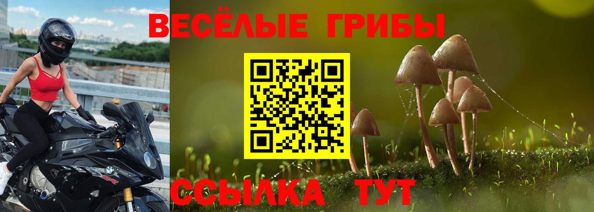 Галлюциногенные грибы мухоморы Кудымкар