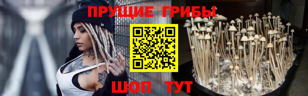 хочу   Галлюциногенные грибы мицелий  Вход с VPN  Кудымкар 